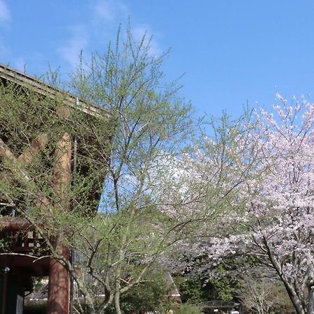 Lassy Condominium 熊本 外观 照片
